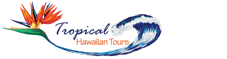 #1 Spanish Tour Operator in Honolulu, Hawaii.(Espańol en Hawaii), Hawaii Custom Tours and Hawaii Private tours by local tour guides.Hawaii sightseeing, Private Pearl Harbor tour, Private Circle Island Oahu tour. Private VIP North Shore Tour, Dole Plantation, Diamond Head and more. All in small group Tours.We Customize and Personalize your favorite Tours.
