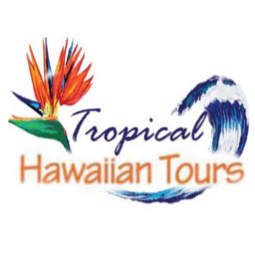 #1 Spanish Tour Operator in Honolulu, Hawaii.(Espańol en Hawaii), Hawaii Custom Tours and Hawaii Private tours by local tour guides.Hawaii sightseeing, Private Pearl Harbor tour, Private Circle Island Oahu tour. Private VIP North Shore Tour, Dole Plantation, Diamond Head and more. All in small group Tours.We Customize and Personalize your favorite Tours.